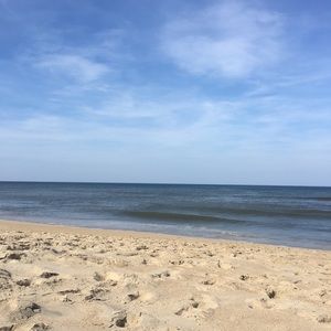 Meet your Posher, Ellie